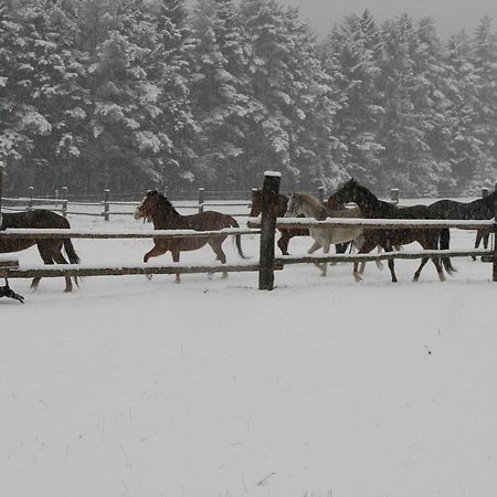Penzion-Ranc U Trapera Hrabušice Екстериор снимка